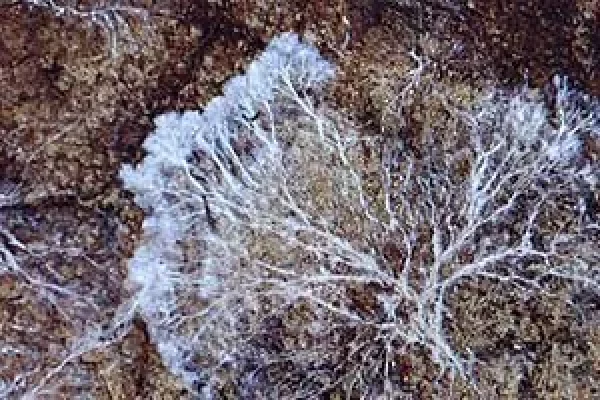 OK- réalisation problème